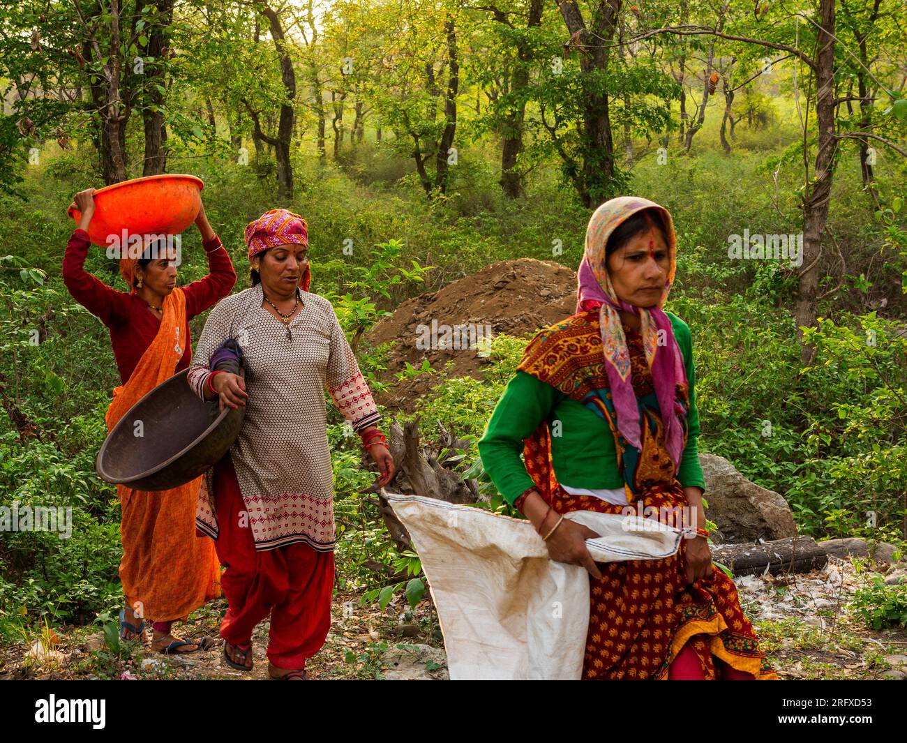 Indian womans lavorando sul fiume cinghiale foresta, Kaladhungi, Uttarakhand, India Foto Stock