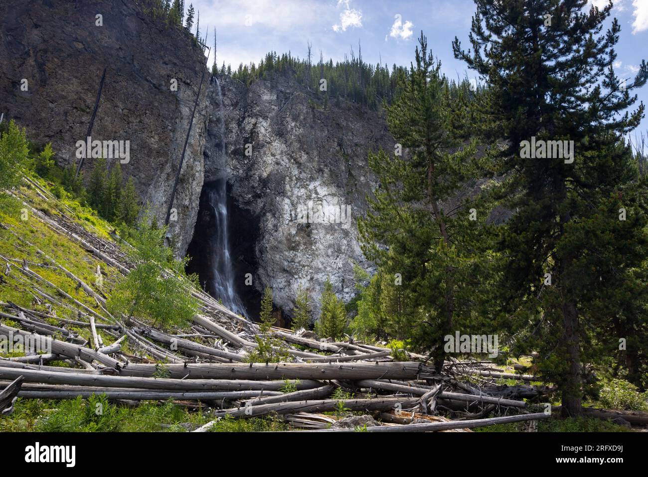 Vecchi tronchi che riposano sotto le Fairy Falls mentre si riversa su una grande scogliera. Parco nazionale di Yellowstone, Wyoming Foto Stock