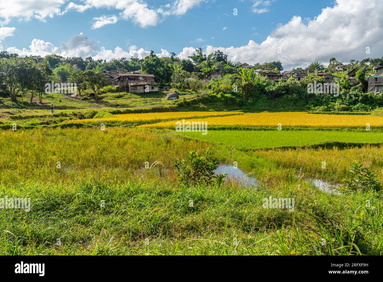 Andasibe, Madagascar - 26 maggio 2023: Landscsape con campo di ricamo e casa in legno nel villaggio di Andasibe Foto Stock