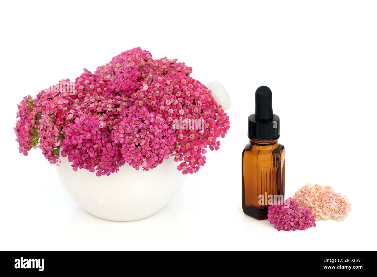 Achillea yarrow fiore in un mortaio. Medicina vegetale naturopatica alternativa con flacone di tintura di olio essenziale. Cura emorroidi, ferite, gonfiore. Foto Stock