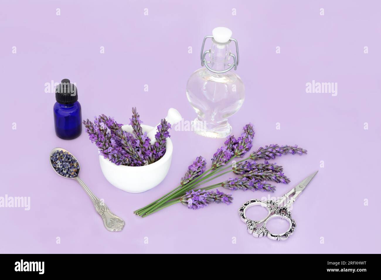 Preparazione di olio essenziale di aromaterapia alle erbe di fiori di lavanda. Medicina a base di erbe alternativa naturale, cibo di adattogeno sano mangiare disegno di natura floreale. Foto Stock
