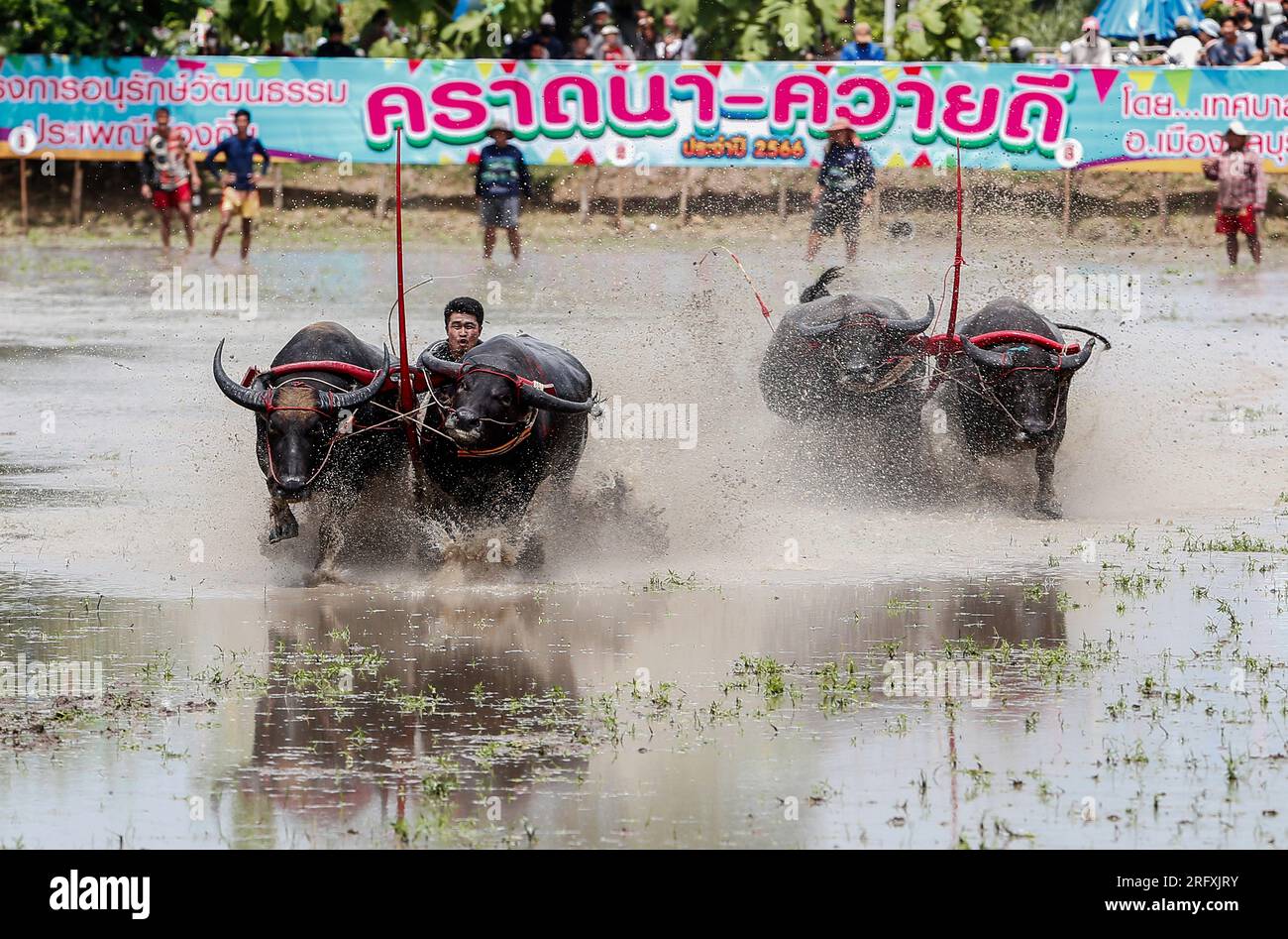 Chonburi, Thailandia. 6 agosto 2023. I fantini gareggiano durante l'annuale festival della corsa dei bufali. (Foto di Chaiwat Subprasom/SOPA Images/Sipa USA) credito: SIPA USA/Alamy Live News Foto Stock