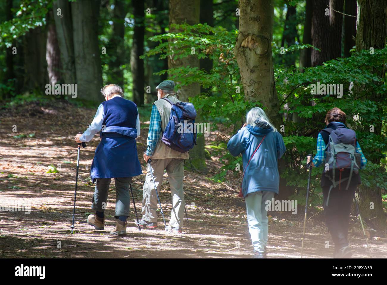 Escursioni di gruppo nella foresta del Palatinato Foto Stock