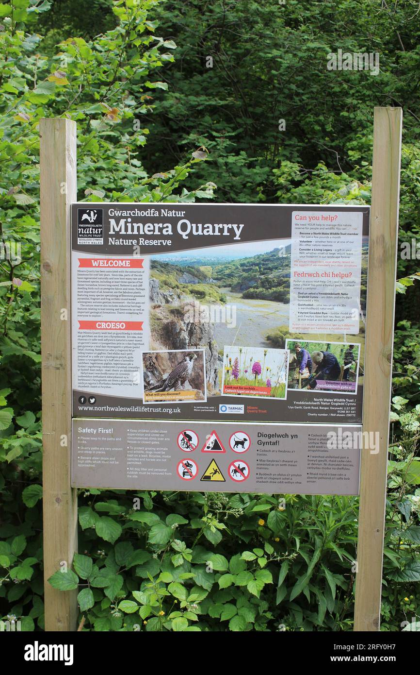 Minera Cava - un ex a cielo aperto cava di calcare ora un North Wales Wildlife Trust Riserva Naturale Foto Stock