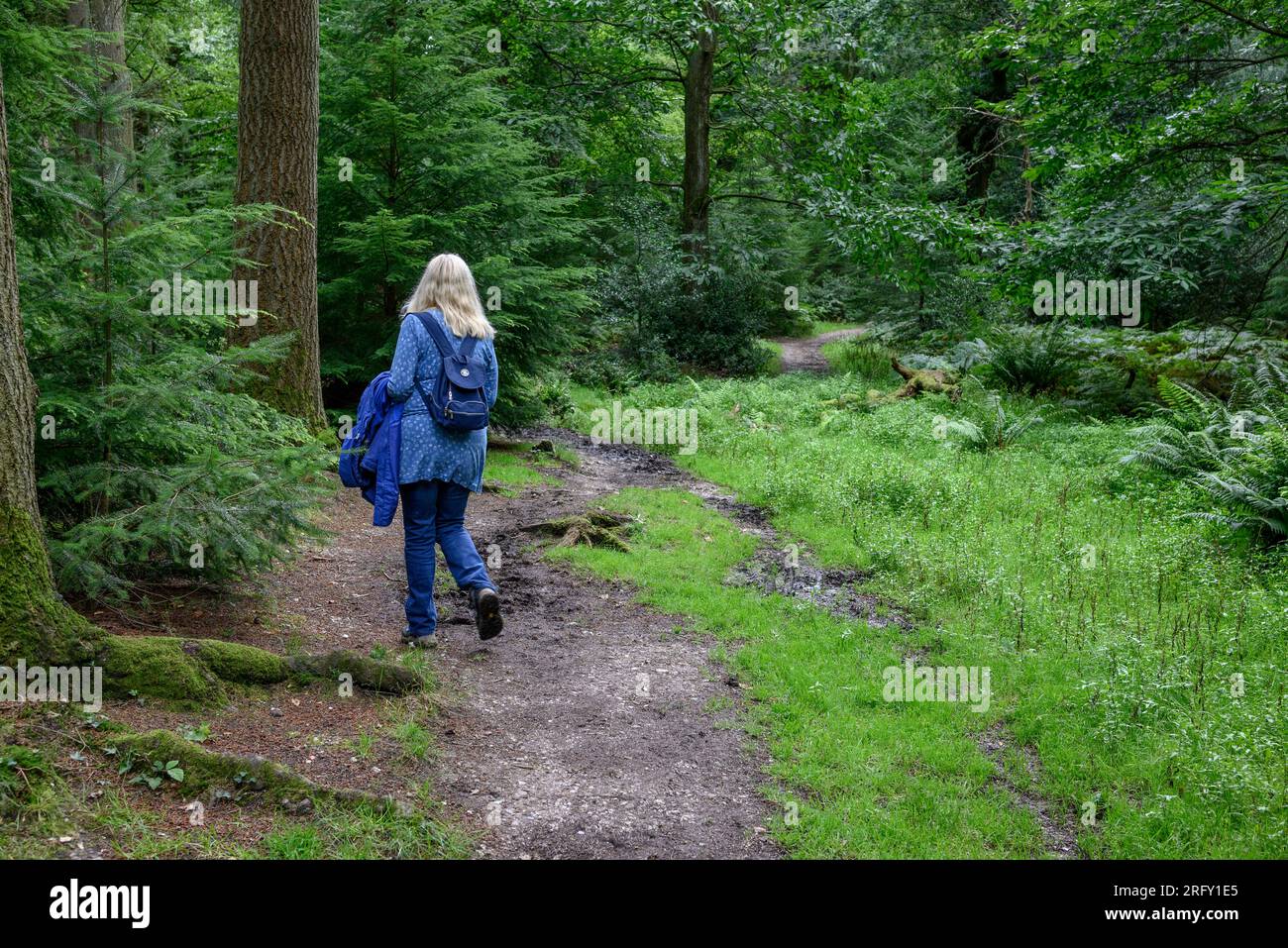 Donna che cammina su un sentiero tra gli alberi Foto Stock