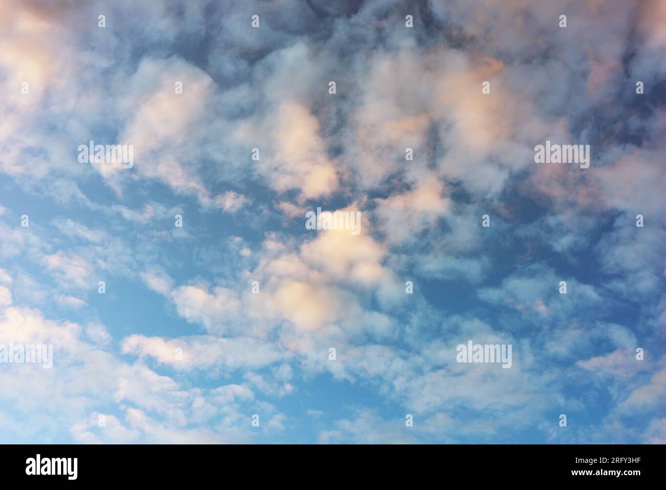 Nuvole altocumulus bianco grigio e giallastro contro il cielo blu prima del tramonto e dell'ora d'oro Foto Stock