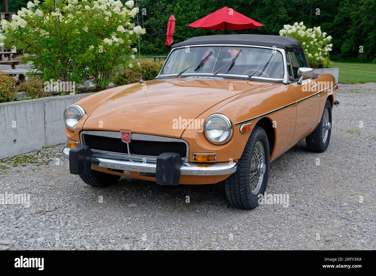 Completamente restaurata in color arancio all'inizio degli anni '1970, vettura convertibile MGB parcheggiata all'esterno con rabbocco in una giornata di copertura estiva Foto Stock