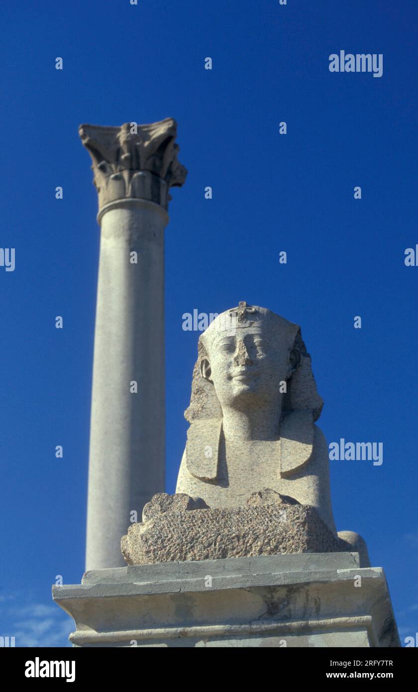 Una Sfinge al Pompei Pillar Column Park nel centro di Alessandria sul Mar Mediterraneo in Egitto, in Nord Africa. Egitto, Alessandria, mar Foto Stock