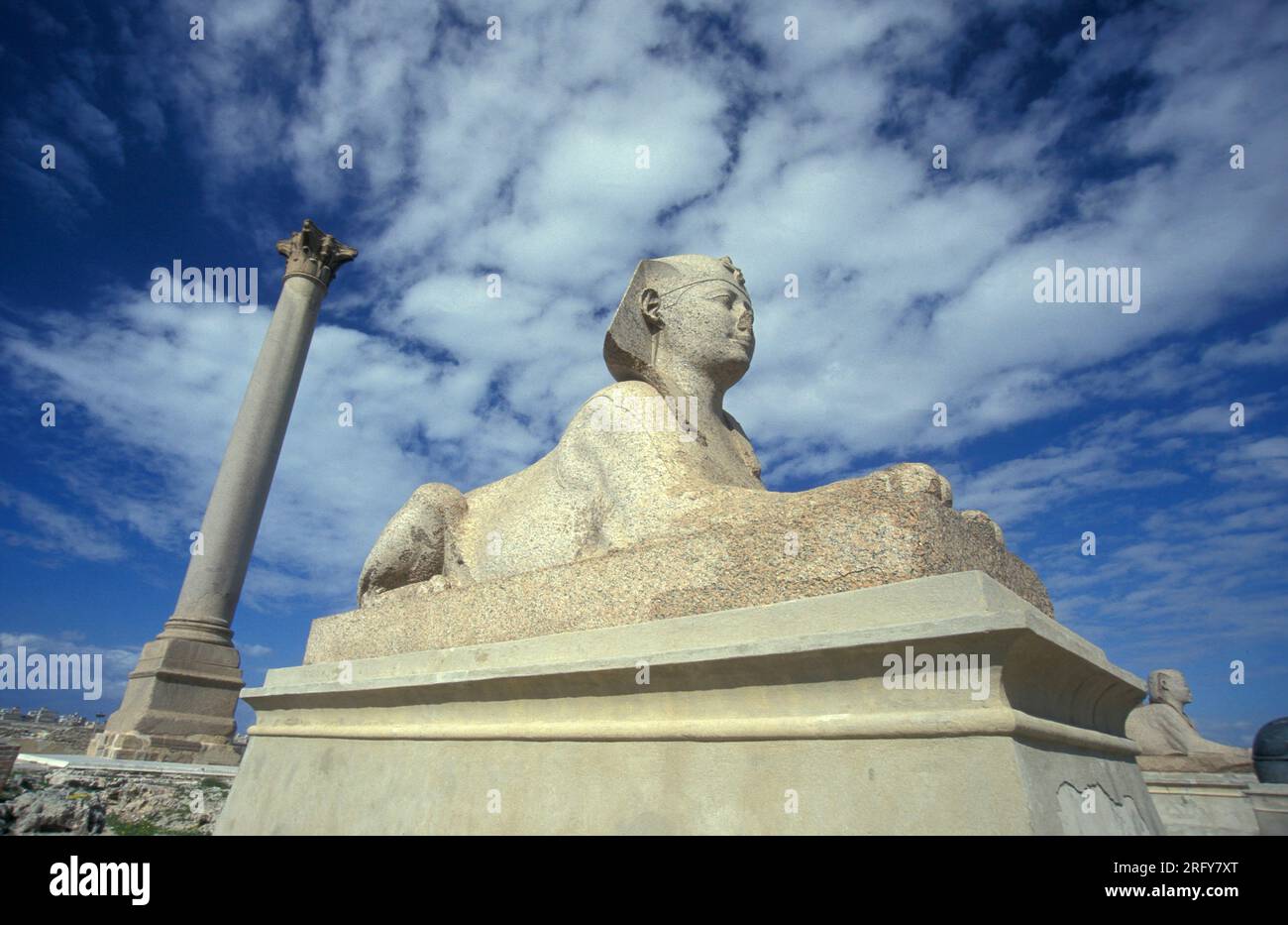 Una Sfinge al Pompei Pillar Column Park nel centro di Alessandria sul Mar Mediterraneo in Egitto, in Nord Africa. Egitto, Alessandria, mar Foto Stock