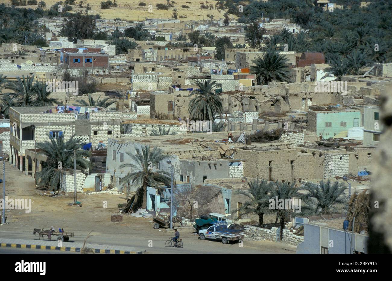 La città e l'oasi di Farafra nel deserto libico o orientale dell'Egitto in Nord Africa. Egitto, Farafra, marzo 2000 Foto Stock