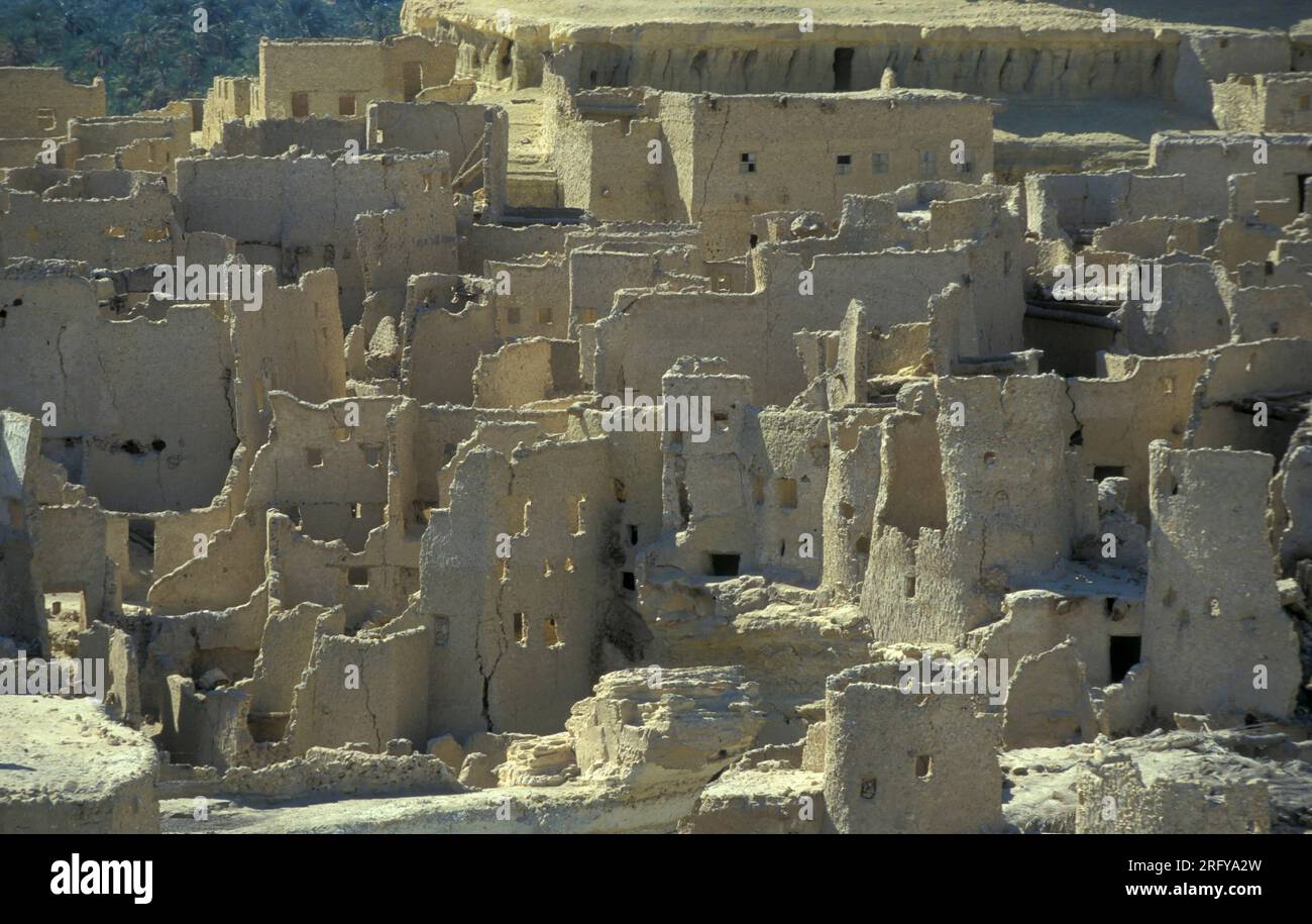 L'antico villaggio di Siwa nel deserto libico o orientale dell'Egitto in Nord Africa. Egitto, Siwa, marzo 2000 Foto Stock