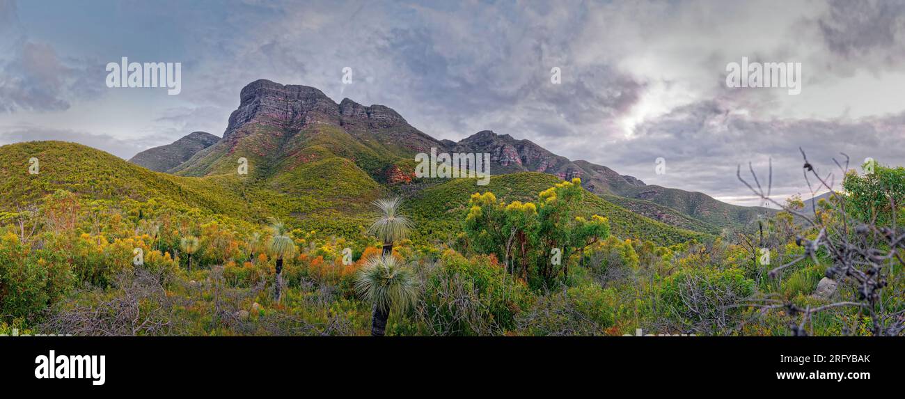 Stirling Range o paesaggio paesaggistico di Koikyennuruff, splendido parco nazionale di montagna nell'Australia Occidentale, con la vetta più alta del Bluff Knoll. Panorama Foto Stock