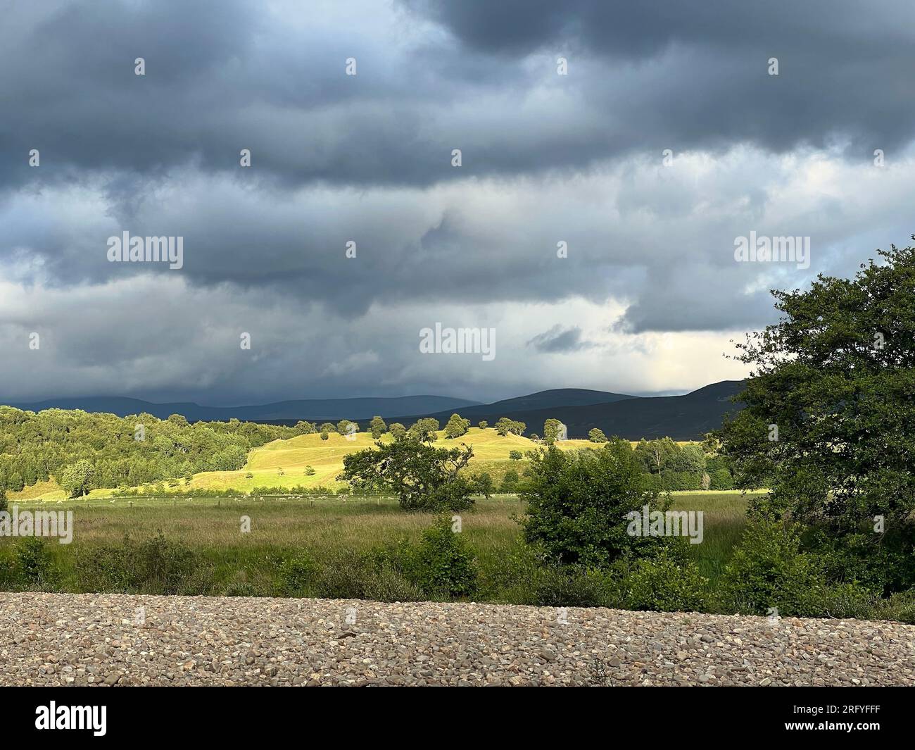 Paesaggio vicino al fiume Spey Aviemore in Scozia Foto Stock