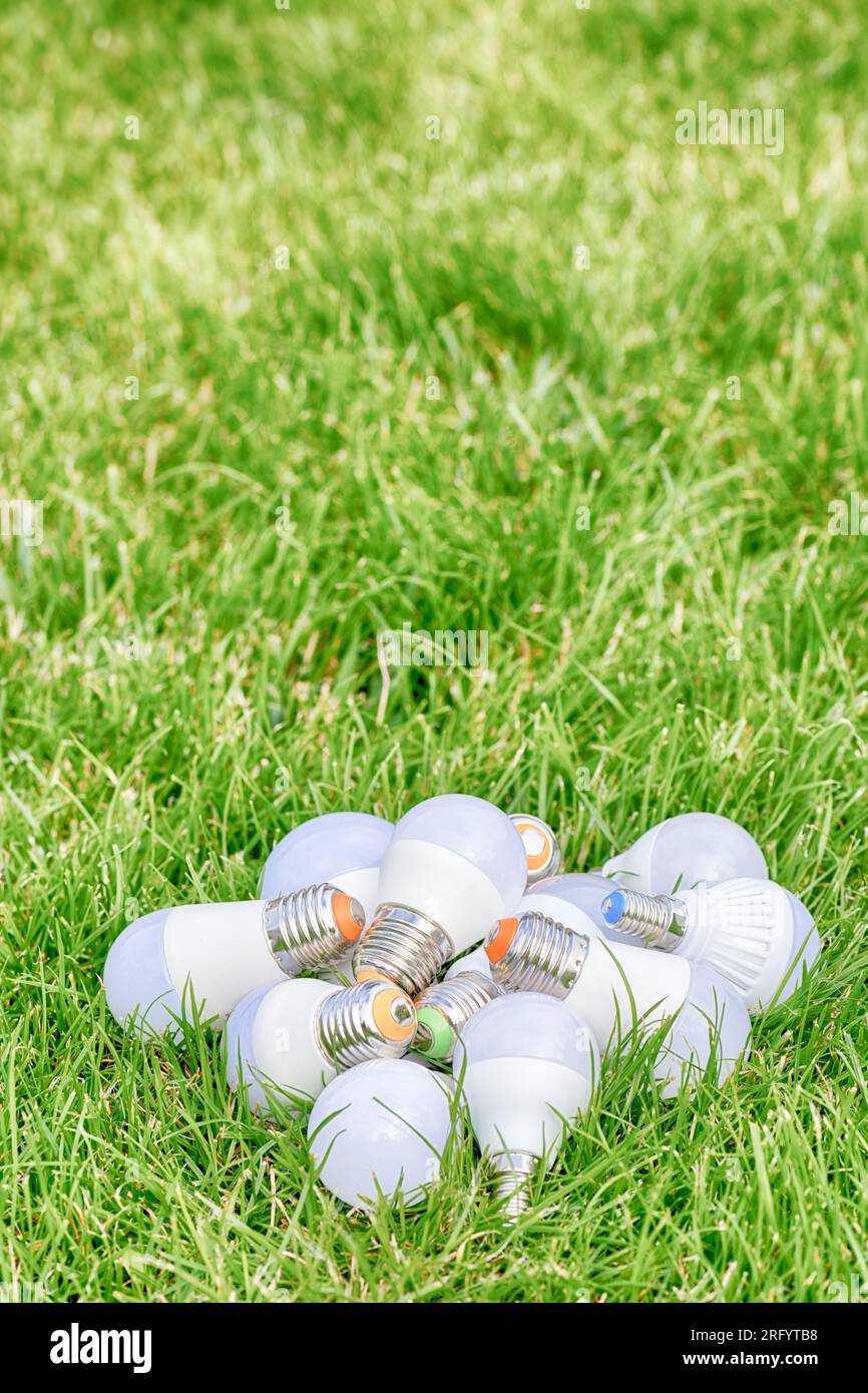 Lampadina a LED su erba verde. Risparmio energetico. Energia verde. Foto Stock
