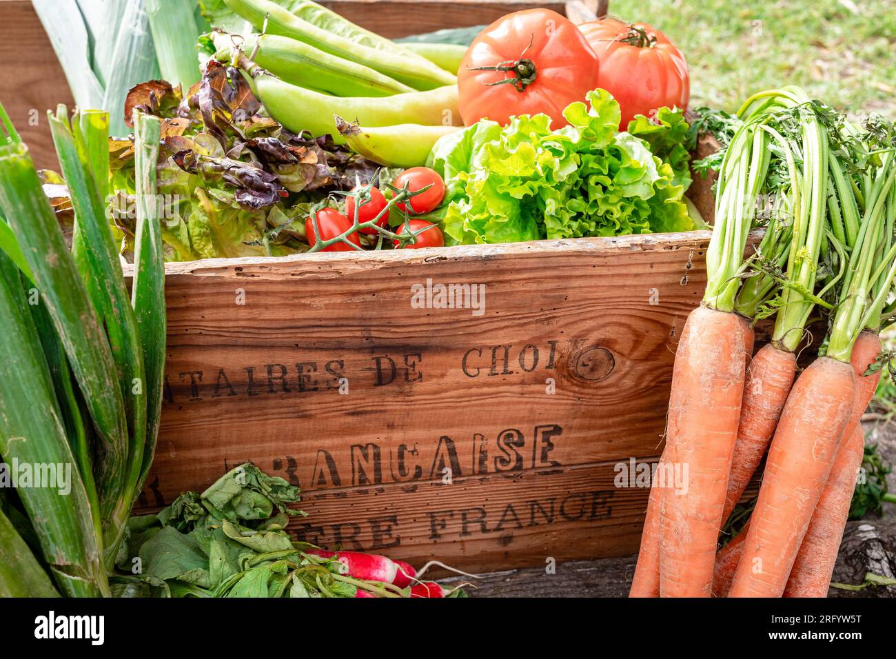 verdure fresche e colorate in una scatola di legno d'epoca "francese" che significa francese Foto Stock