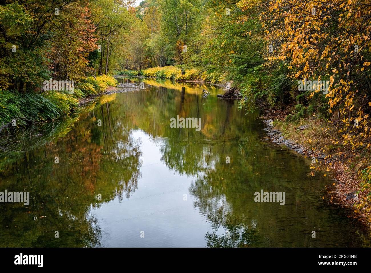 Ruscello pigro in autunno Foto Stock