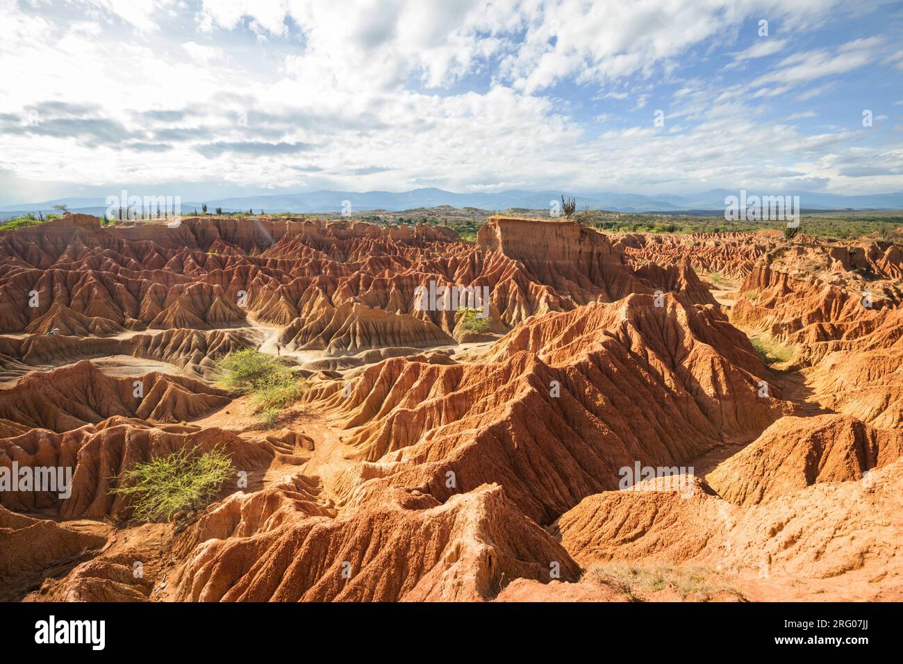 Paesaggi insoliti nel deserto di Tatacoa, Colombia, Sud America Foto Stock