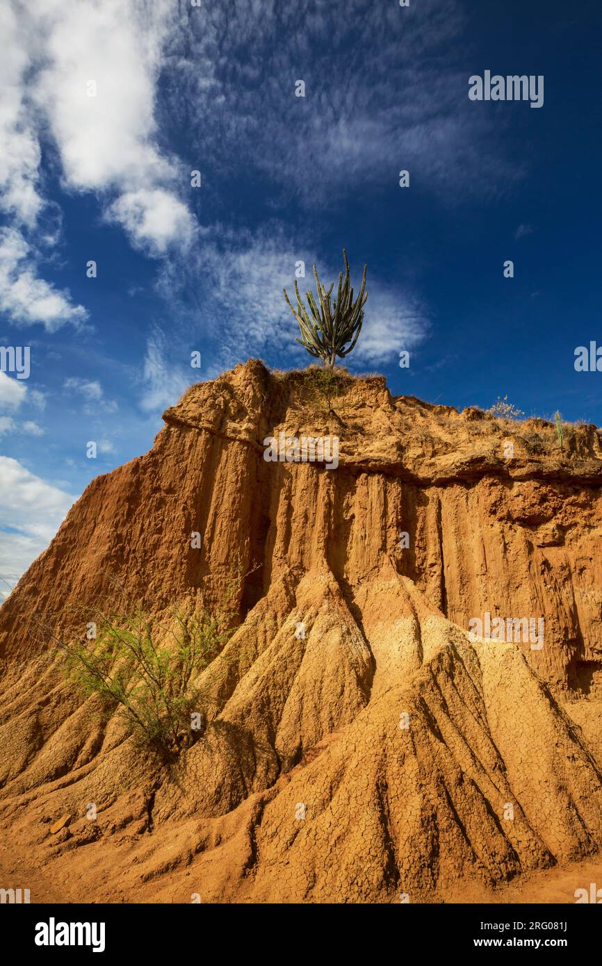 Paesaggi insoliti nel deserto di Tatacoa, Colombia, Sud America Foto Stock