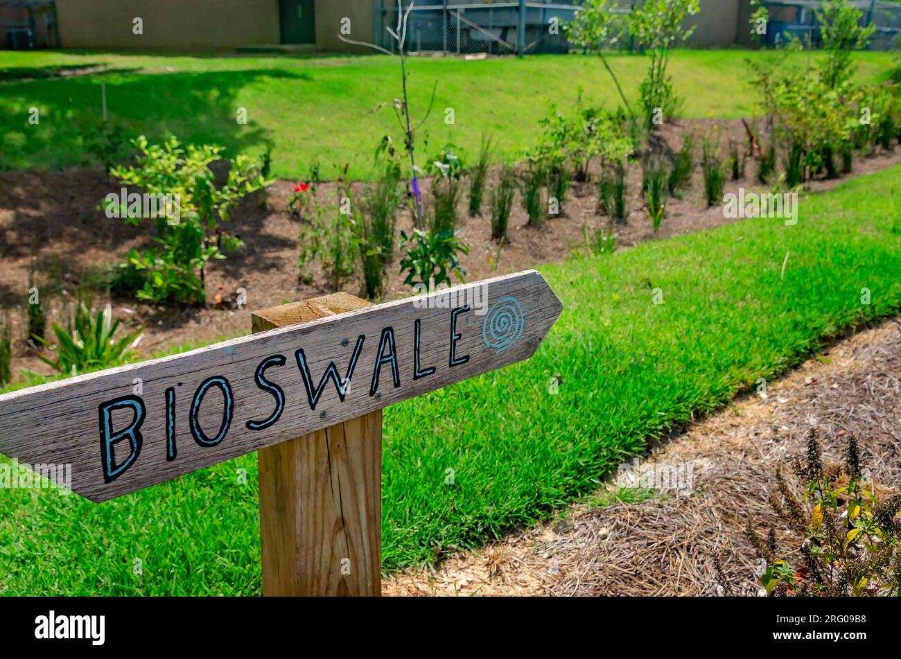 Una freccia indica il bioswale all'Africatown Heritage House, 5 agosto 2023, a Mobile, Alabama. I bioswales sono aree basse che raccolgono le acque piovane. Foto Stock