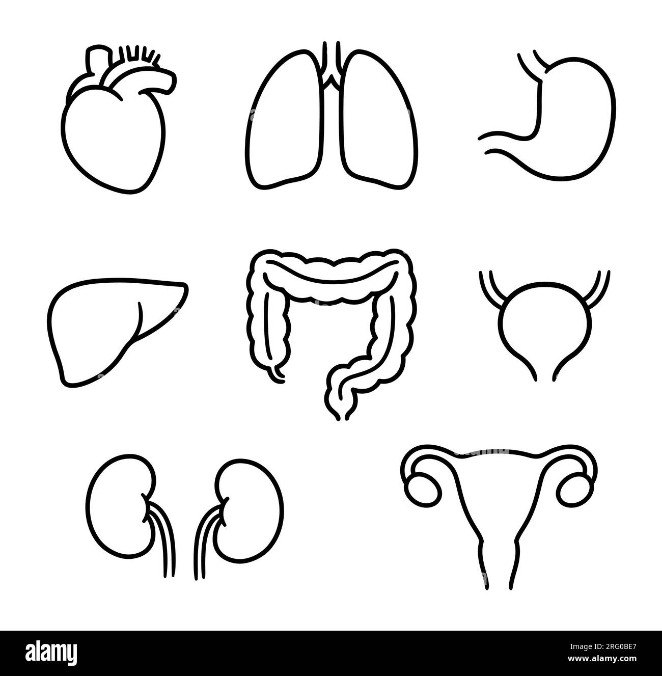 Set di disegni per il contorno degli organi interni umani. Simboli disegnati a mano in stile doodle, disegni in bianco e nero. Illustrazione grafica vettoriale isolata. Illustrazione Vettoriale