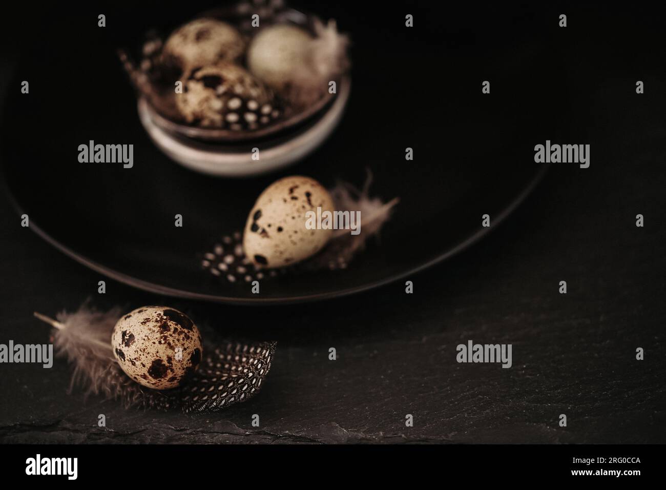Uova di quaglia di fattoria in un piatto di ceramica su un nero background.Organic uova di quaglia biologica naturale con piume. Cibo sano e utile Foto Stock