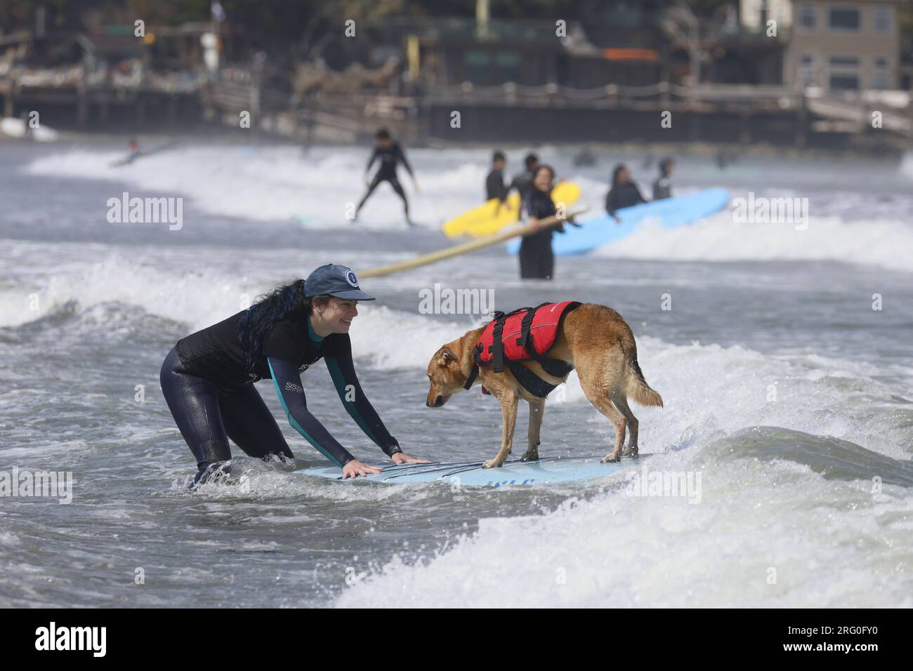 Pacifica, California, USA. 5 agosto 2023. Cattura le onde e sfreccia le code al campionato mondiale di surf con cani del 2023 a pacifica, California. Furr Foto Stock