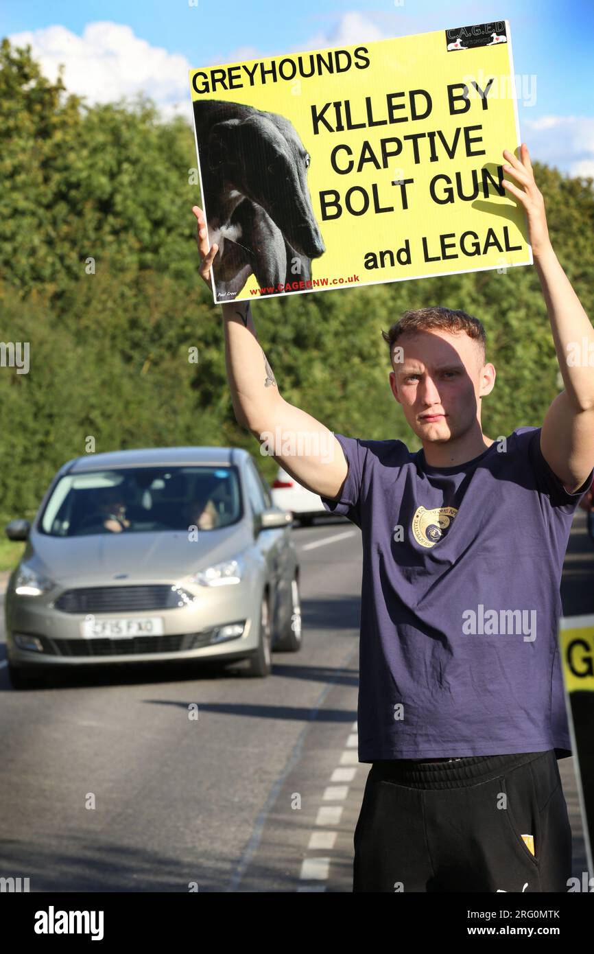 Henlow, Regno Unito. 6 agosto 2023. Un manifestante tiene un cartello sulla strada fuori dallo stadio dei cani incoraggiando il sostegno degli automobilisti di passaggio durante la manifestazione. Gli attivisti per i diritti degli animali protestano fuori dal circuito di Henlow. Il loro obiettivo è mettere in evidenza la crudeltà associata alle corse di cani. Nel 2021 ci sono stati 4422 feriti e 120 morti sui circuiti registrati di greyhound nel Regno Unito. (Foto di Martin Pope/SOPA Images/Sipa USA) credito: SIPA USA/Alamy Live News Foto Stock