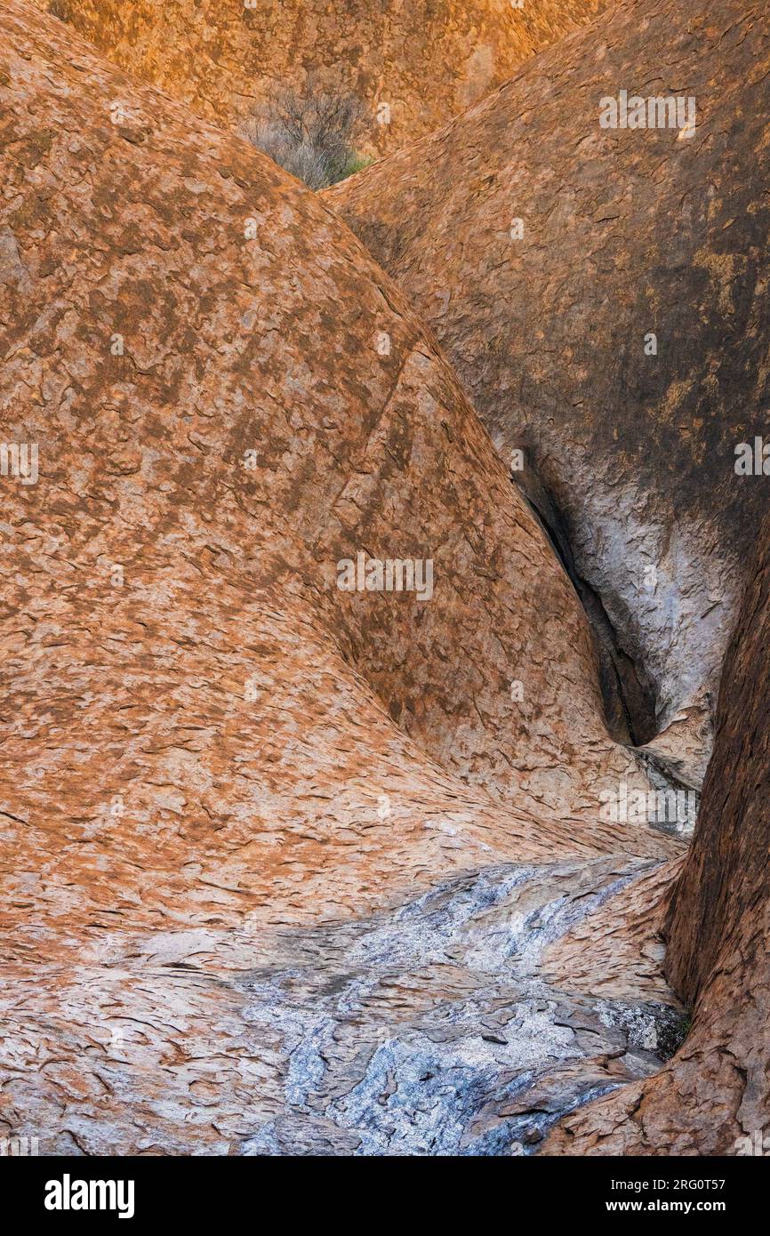 Canale sopra il pozzo d'acqua di Mutitjulu che mostra la predominante arenaria arcaica marrone-rossastro e il colore blu algale in una pista d'acqua che erode la roccia. Uluru-Ka Foto Stock