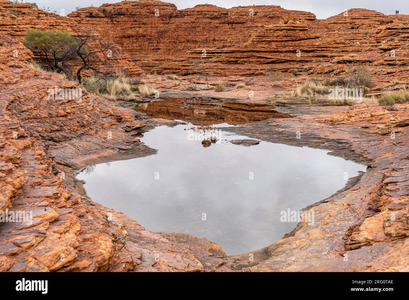 Piccola piscina sul Kings Canyon Rim Walk, dove il canyon principale incontra il braccio nord più piccolo. L'arenaria è l'arenaria di Mereenie depositata 400 milioni di anni Foto Stock