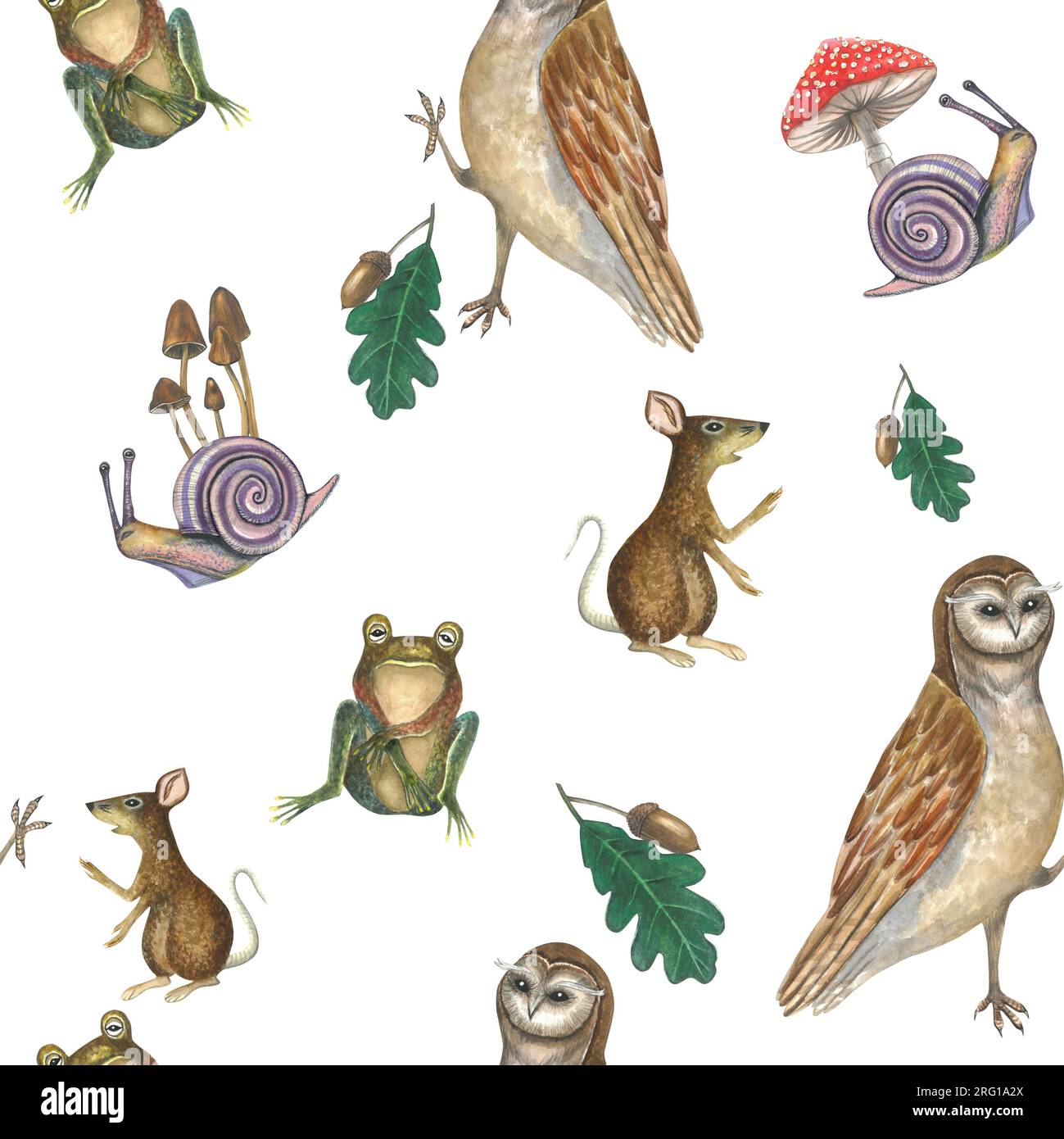 Illustrazione ad acquerello di un gufo, lumache, funghi velenosi, un topo e una rana su sfondo bianco. Modello senza cuciture disegnato a mano Foto Stock