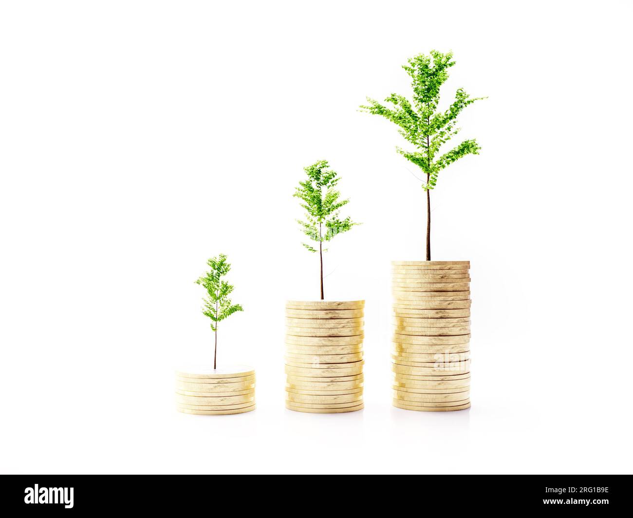 Rendering 3D di tre alberi alberelli che crescono su pile di monete ascendenti su sfondo bianco Foto Stock