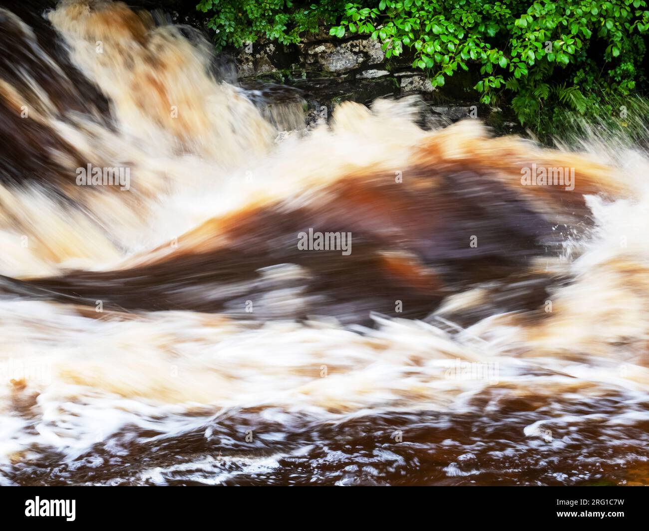 Le acque di inondazione macchiate di torba nel fiume Ribble a Stainforth Force Above Settle nello Yorkshire Dales, Regno Unito. Foto Stock