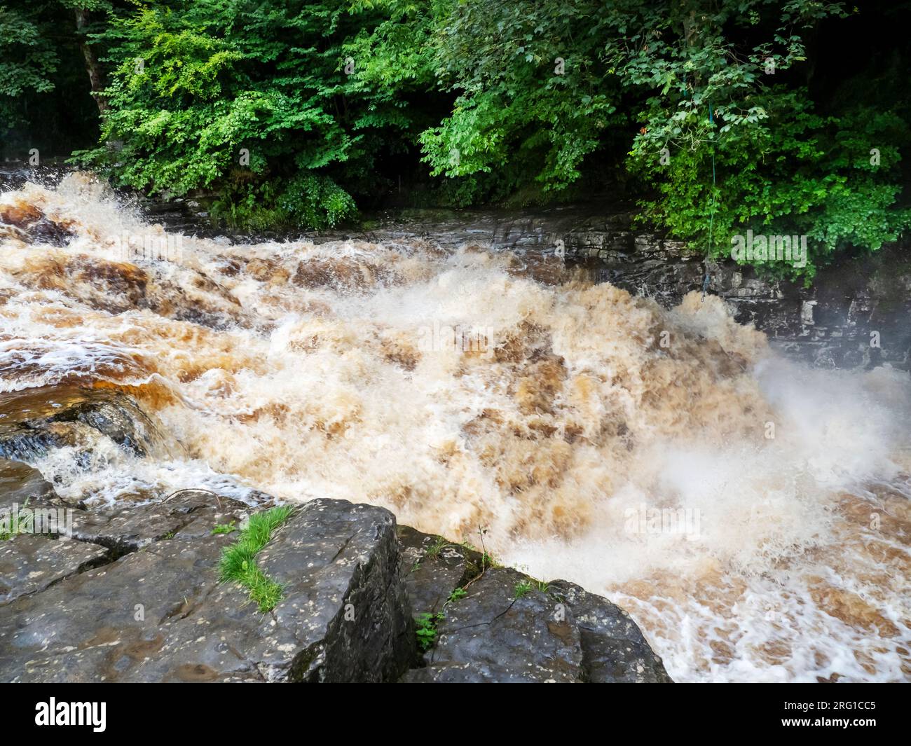 Le acque di inondazione macchiate di torba nel fiume Ribble a Stainforth Force Above Settle nello Yorkshire Dales, Regno Unito. Foto Stock