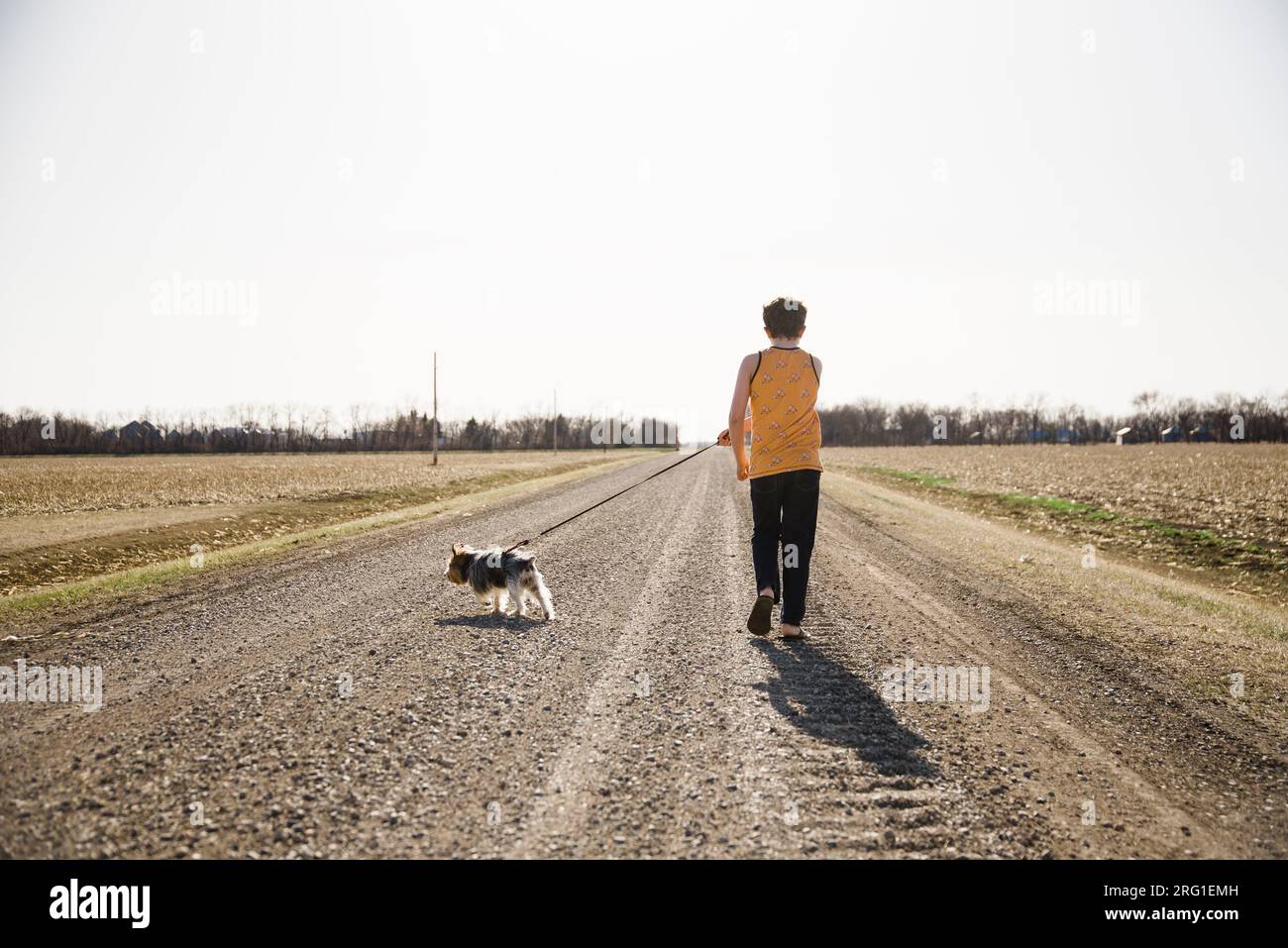 Ragazzo che cammina il suo cane al guinzaglio in una strada sterrata nel paese. Foto Stock