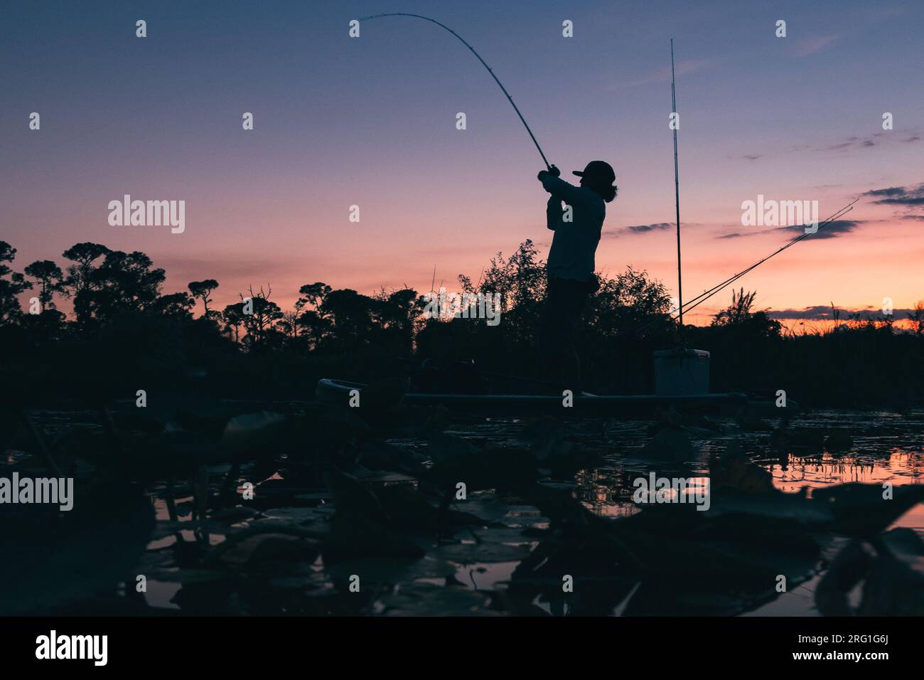 Un uomo con un pesce in gioco a Sunset Foto Stock