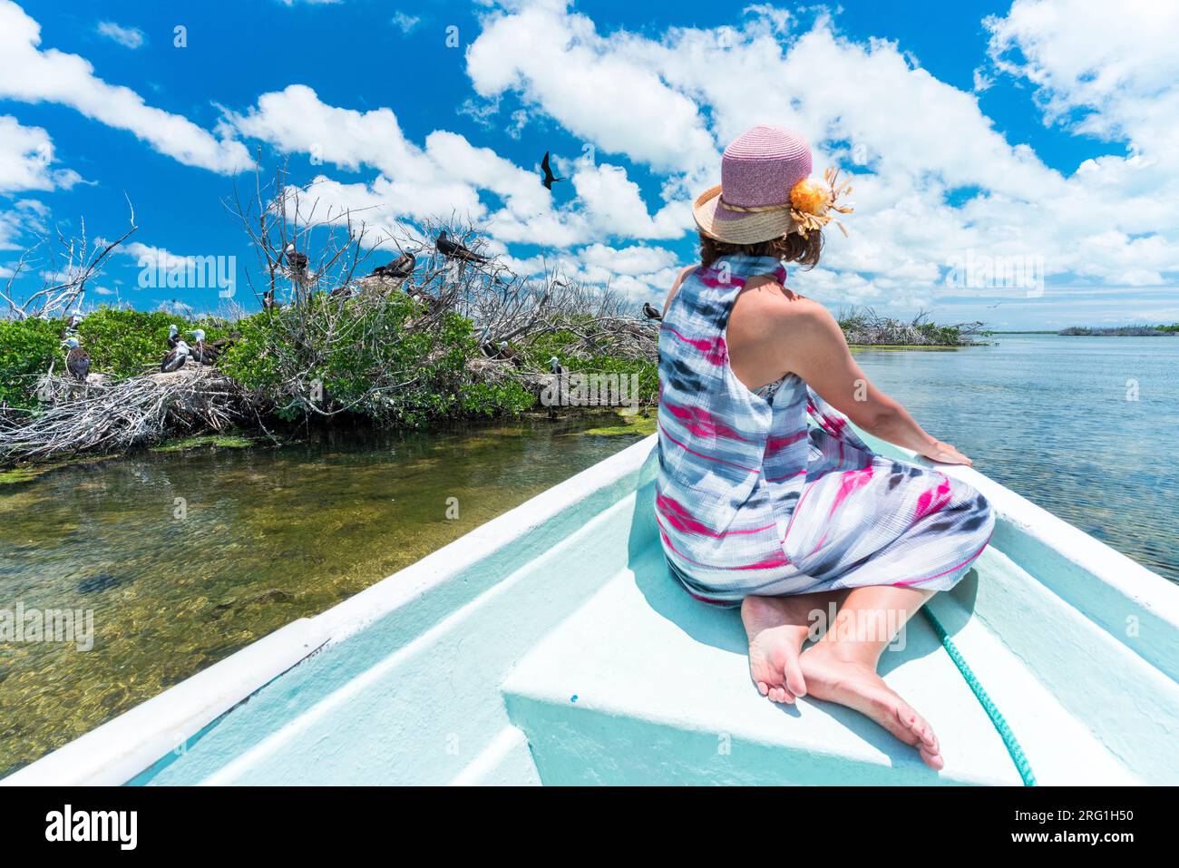 Vista posteriore della donna in un tour in barca al Frigate Birds Sanctuary, Barbuda Foto Stock