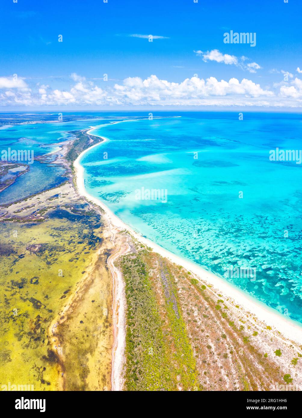 Pink Sand Beach e Codrington Lagoon, vista aerea, Barbuda, Caraibi Foto Stock