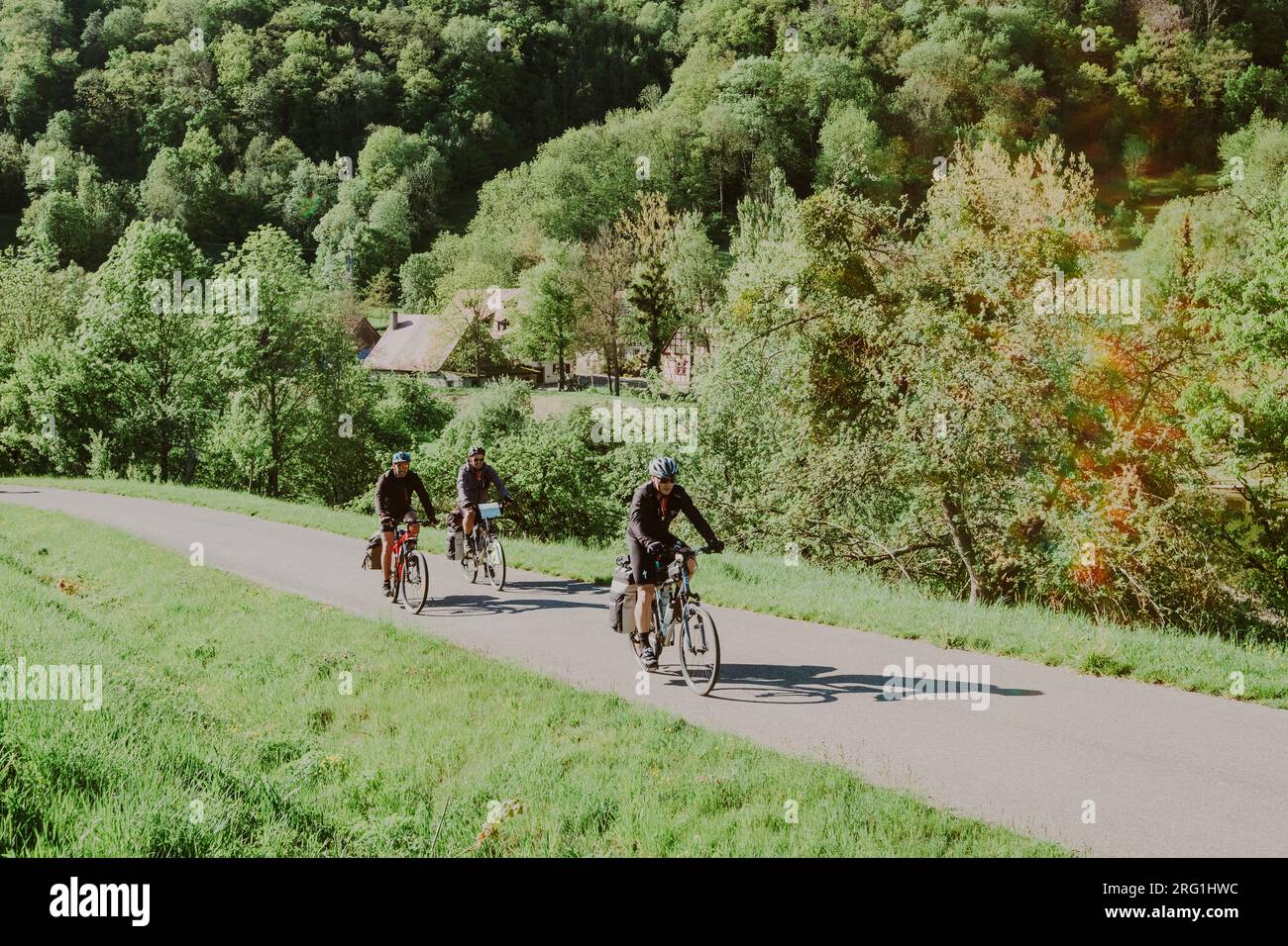 Ciclista che corre su una pista ciclabile nella foresta in Germania Foto Stock