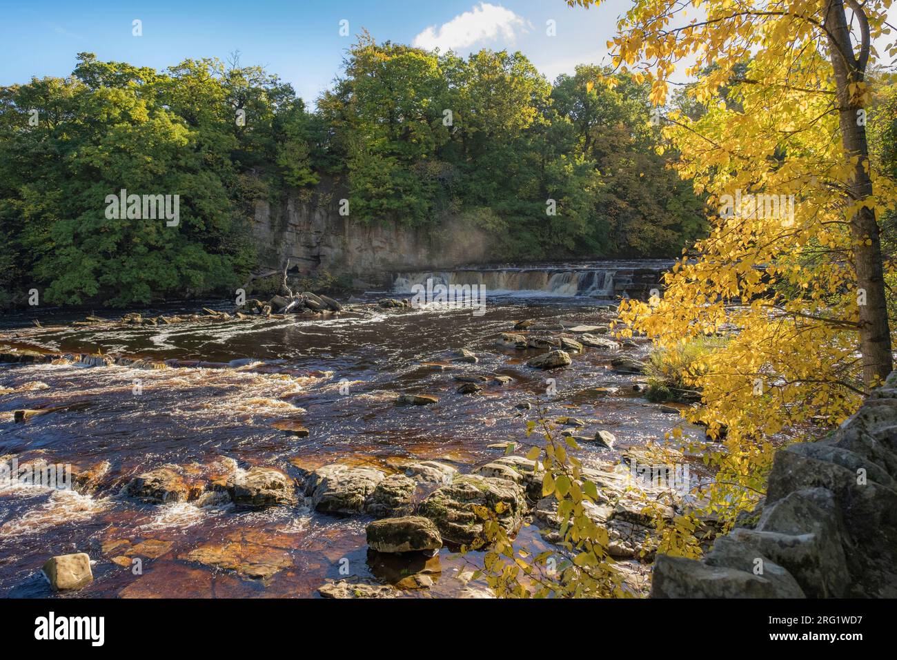 Richmond Falls sul fiume Swale a Swaledale in autunno. Richmond, North Yorkshire, Inghilterra, Regno Unito, Gran Bretagna Foto Stock