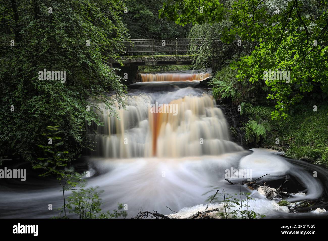 Cascate di Blackling Hole in estate, dopo forti piogge, Hamsterley Forest, Teesdale, County Durham, Regno Unito Foto Stock