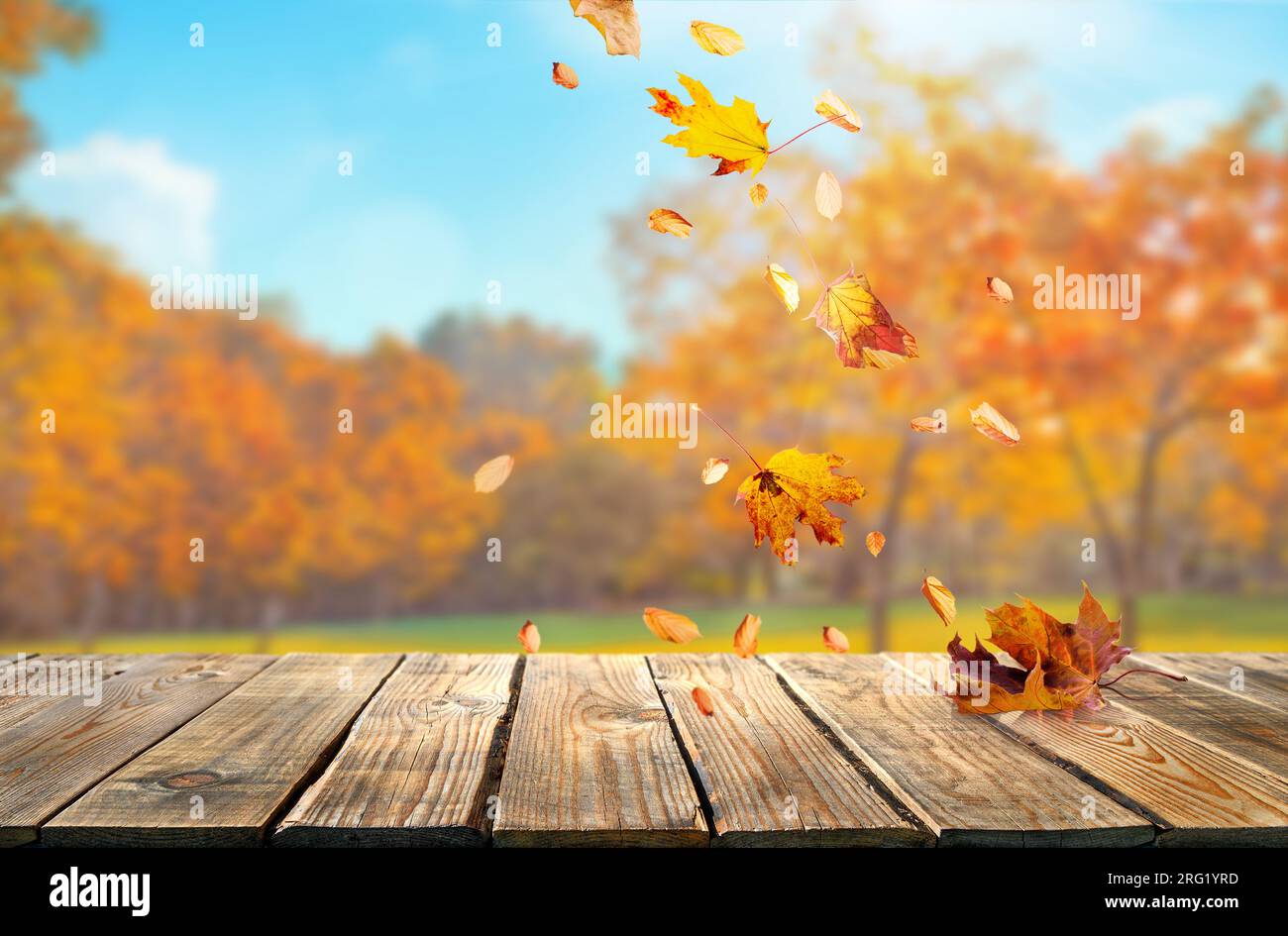foglie di autunno arancio e vecchia tavola di legno, sfondo naturale autunno Foto Stock