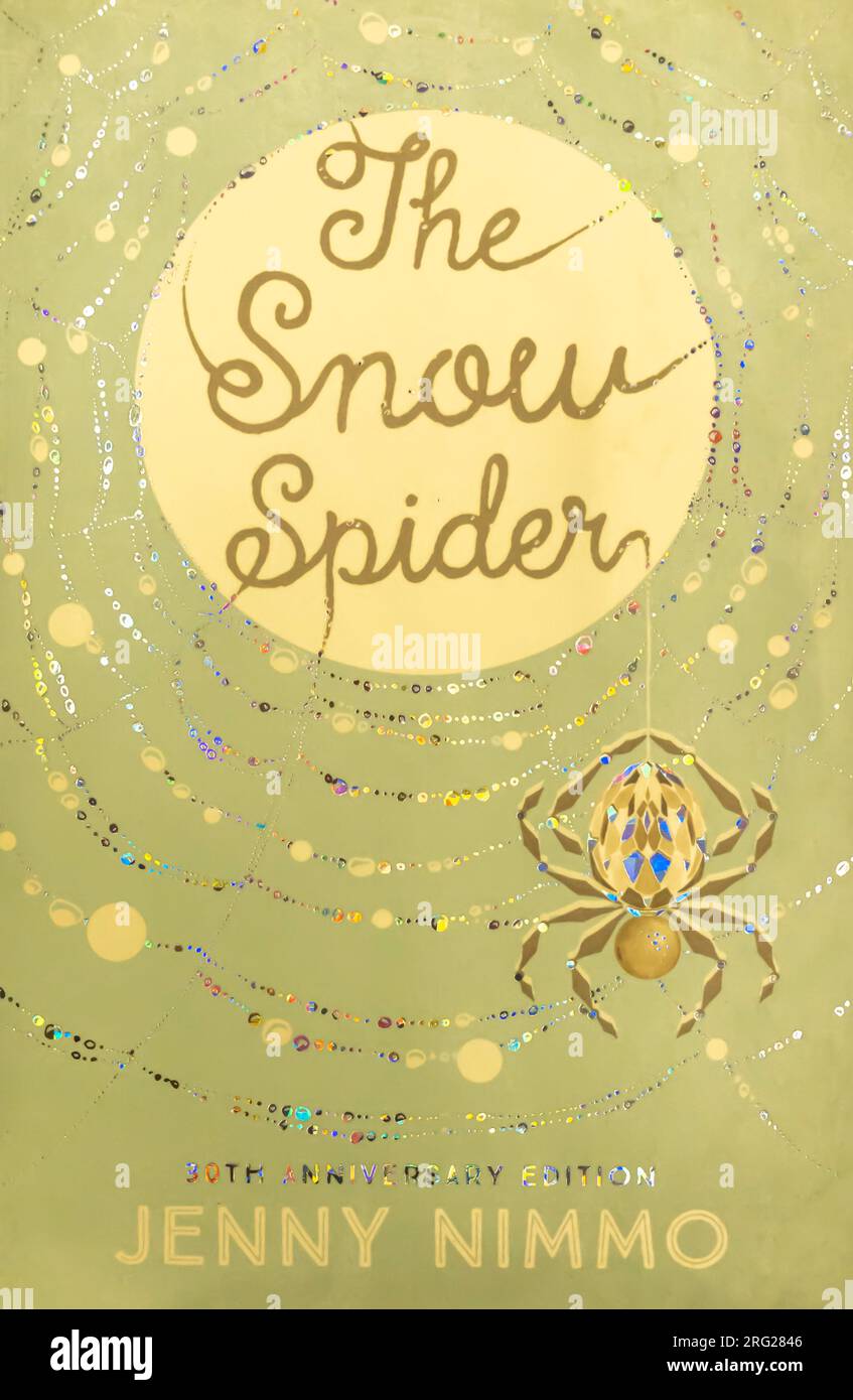 The Snow Spider (Magician Trilogy n. 1): Nimmo, Jenny 1986 Foto Stock