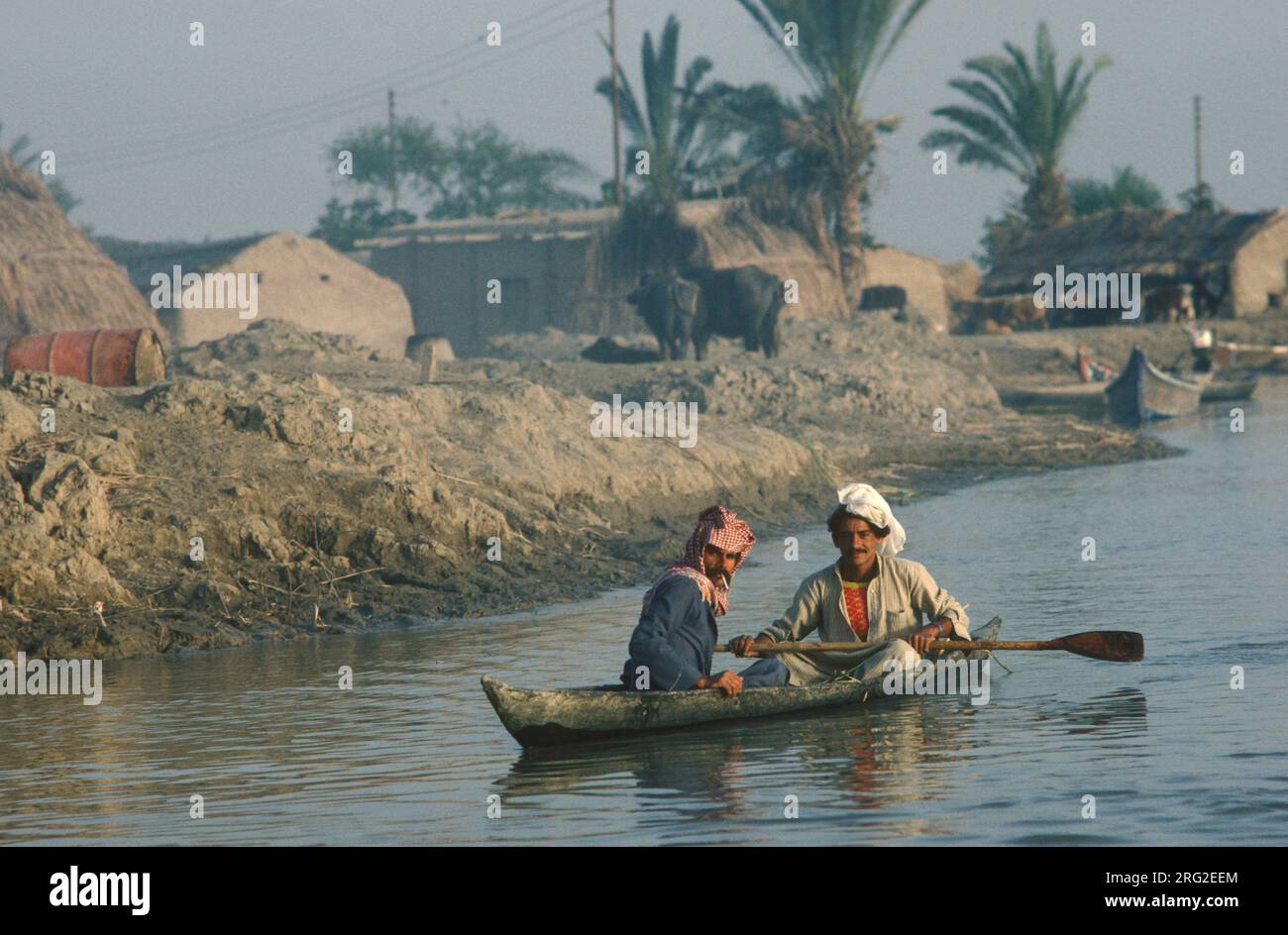 Marsh Arabs Iraq. Uomini arabi palustri in barca, case in mattoni, case e bestiame sulle rive dei fiumi Tigri e Eufrate, paludi di Hammar. HOMER SYKES, degli anni '1984 1980 dell'Iraq meridionale Foto Stock