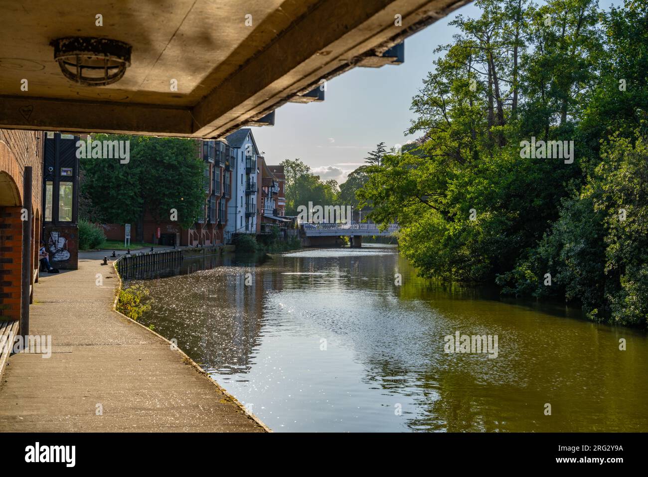 Serata estiva sul fiume Medway, Tonbridge Kent Foto Stock