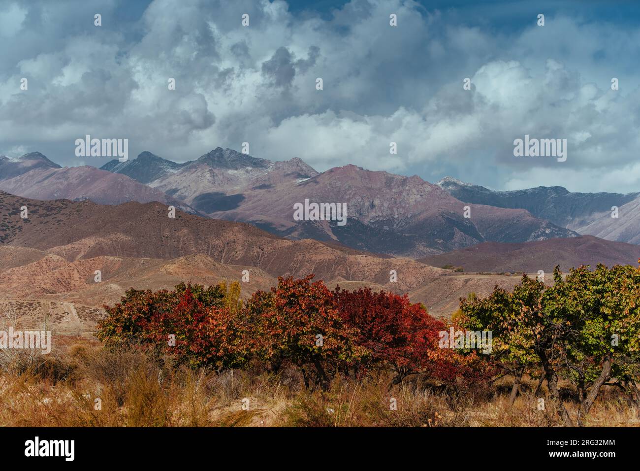 Paesaggio autunnale con alberi sullo sfondo delle montagne, Kirghizistan Foto Stock