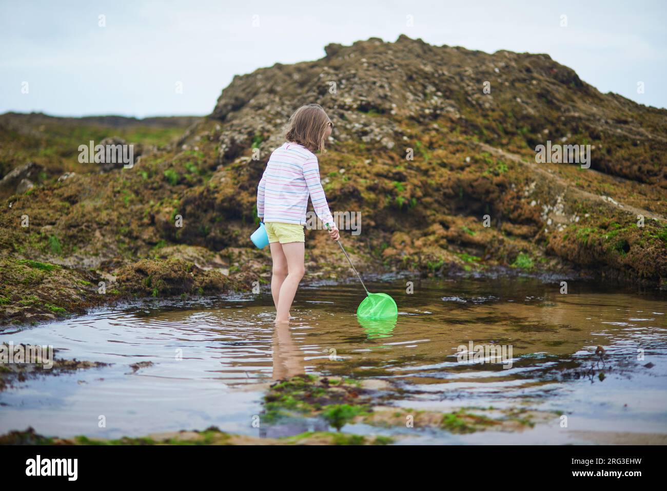 Adorabile preshooler che gioca con la rete scoop sulla spiaggia della costa atlantica della Bretagna, in Francia. Bambini piccoli che si divertono in vacanza al mare o all'oceano. Foto Stock