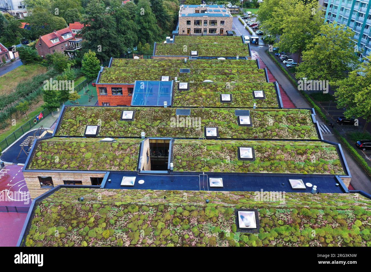 Groene daken bevorderen de woon- en leefomstandigheden in de stad. Foto Stock