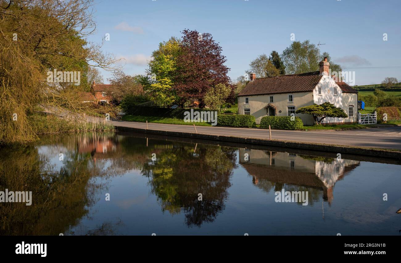 Uno dei tanti stagni del pittoresco villaggio di Warter, nell'East Riding of Yorkshire, Inghilterra, Regno Unito Foto Stock