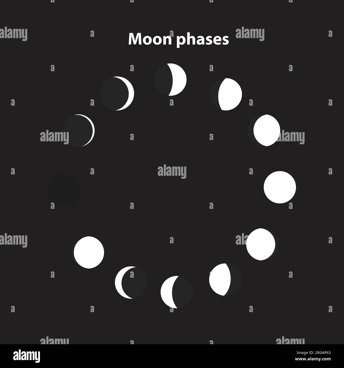 Illustrazione vettoriale delle forme delle fasi lunari. su sfondo scuro, bianco e delineato Illustrazione Vettoriale