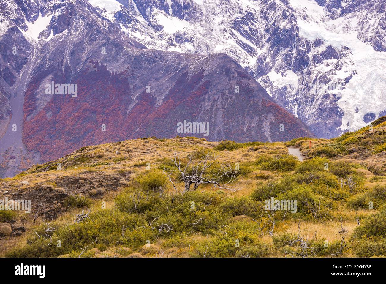 Primo piano del massiccio montano innevato al Parco Nazionale Torres del Paine con prati in primo piano, Cile, Patagonia, Sud America Foto Stock